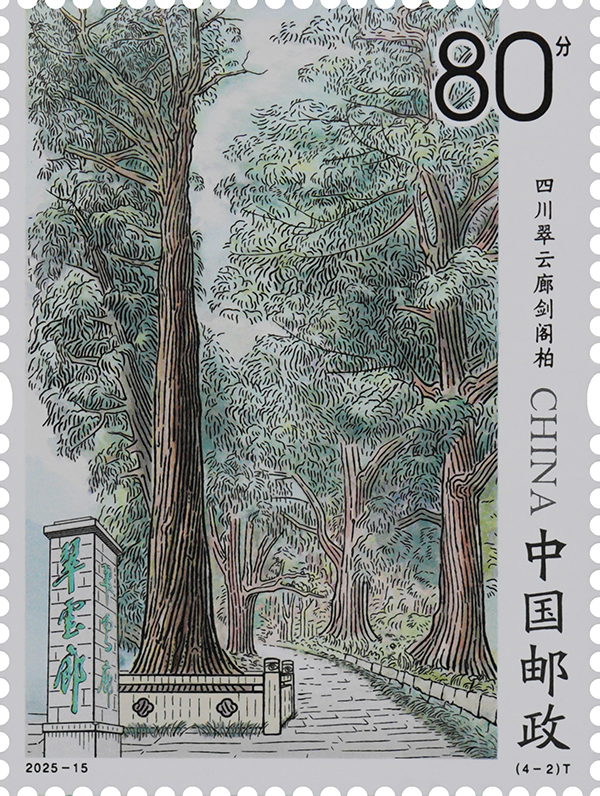 2025-15(4-2)T_单枚.jpg