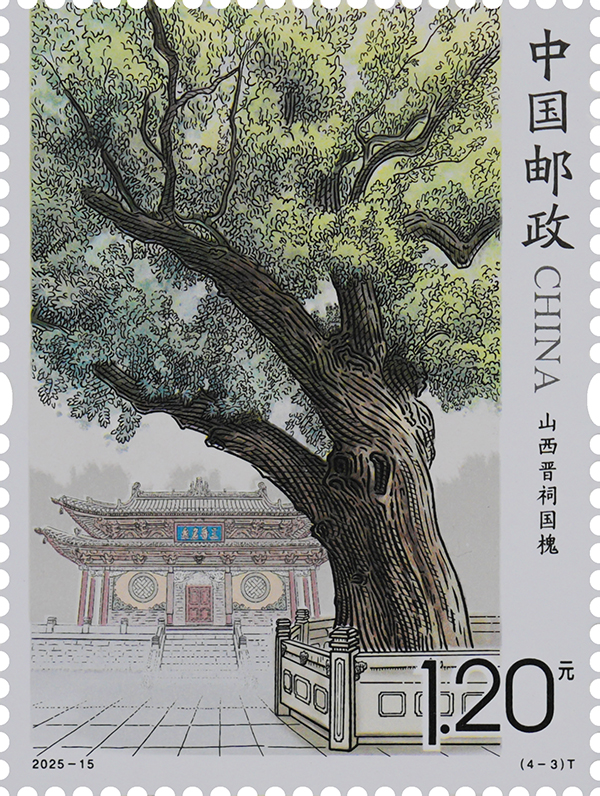 2025-15(4-3)T_单枚.jpg