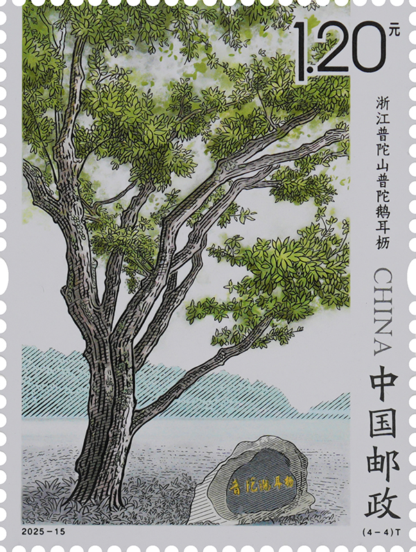 2025-15(4-4)T_单枚.jpg